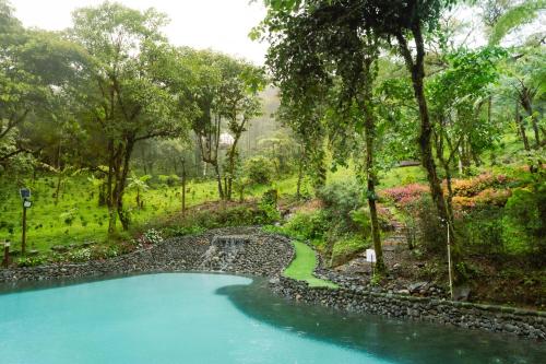 a bridge over a pool of water in a river at Los Domos Panamá Aire in Alto del Mamey