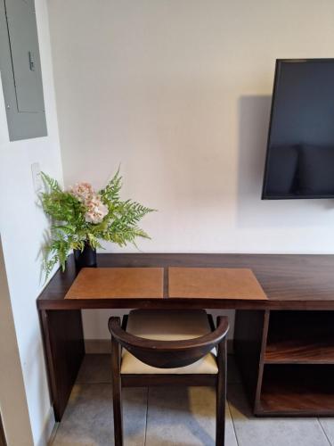 a wooden desk with a plant and a tv at En plena ciudad de Guatemala in Guatemala
