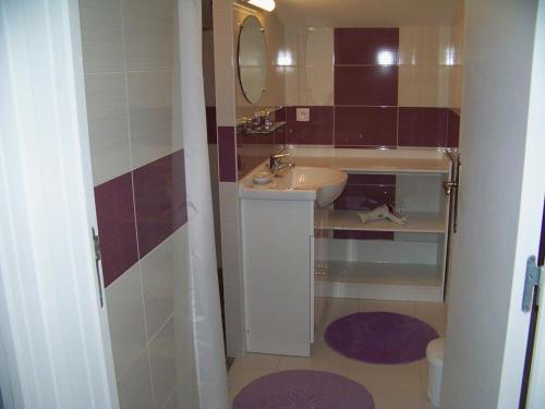 Un baño pequeño con lavabo y espejo. en Gîte authentique avec terrasse, jardin clos et wifi à La Garnache - FR-1-426-140, en La Garnache