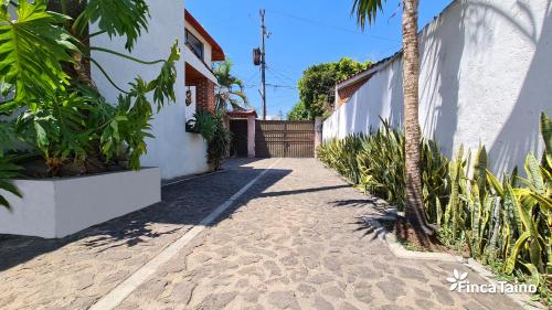 a pathway with a palm tree and a building at Finca Taino. Hermosa casa con alberca in Jiutepec