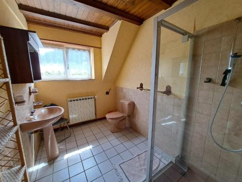 a bathroom with a shower and a toilet and a sink at Holiday Home in Reipertswiller near Castle in Reipertswiller