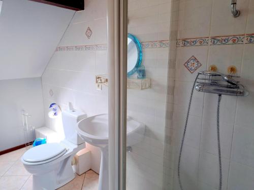 a bathroom with a shower and a toilet and a sink at House in Vosges near Lichtenberg Castle in Reipertswiller