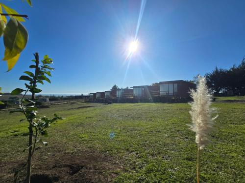 a plant in a field with the sun in the sky at Centinela del Mar cuenta con amplias cabañas en Matanzas TV WiFI Parking gratis Asadera Vista Panorámica Parcela Familiar Privada in Matanzas