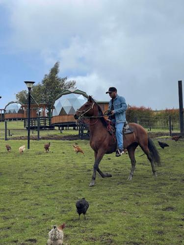 a man riding a horse in a field with chickens at Villa Rebequita in Villapinzón