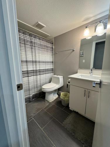 a bathroom with a toilet and a sink and a mirror at 3 STATE FAIR l DT Dallas l FIFA READY l Staycation 1Bd1Ba in Dallas