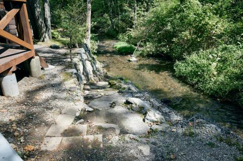 a stone path in the middle of a forest at Villa Noël Kitakaruizawa Seiryu Sauna & Open Air Bath in Tsumagoi