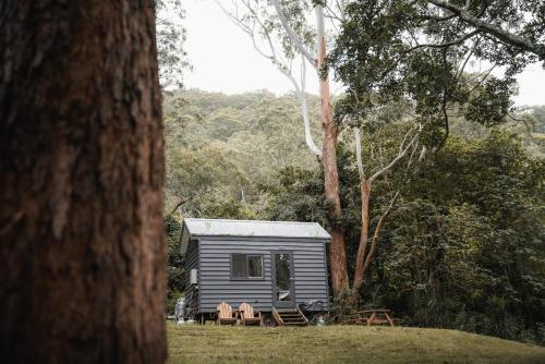 a tiny house in the middle of a forest at Tiny India in Coolangatta