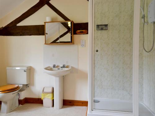 a bathroom with a toilet and a sink and a shower at Halford Big Barn in Halford