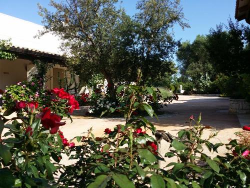 Il Melograno – Photos 4
