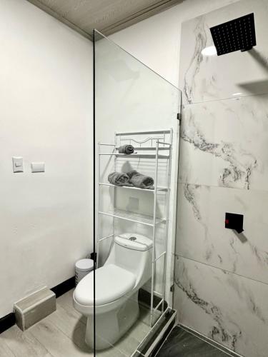 a bathroom with a toilet and a glass shower stall at Paraiso En-suite #3 in Parrita