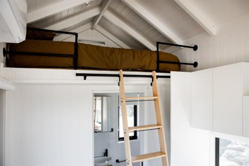 a bunk bed in a room with a ladder at Tiny Rosie in Mount Crawford