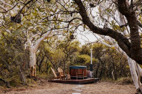 a wood fired grill with chairs on a dirt road at Tiny Wombat and Wallaby in Dural