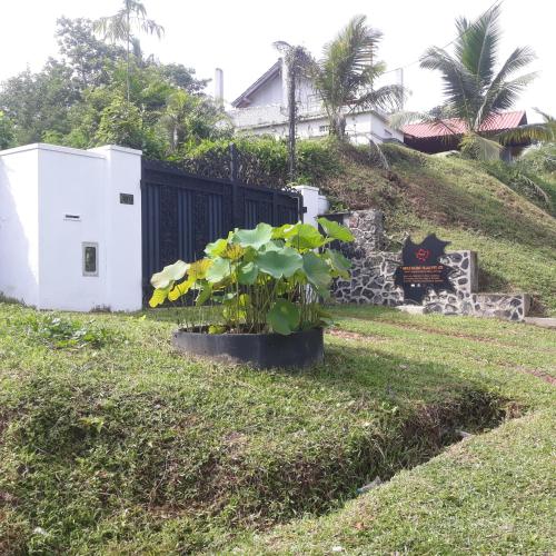 Κήπος έξω από το Villa SUMMIT