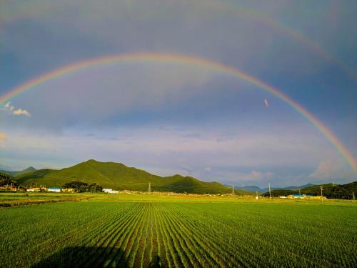 ゲストハウスの近くで見られる自然の景観