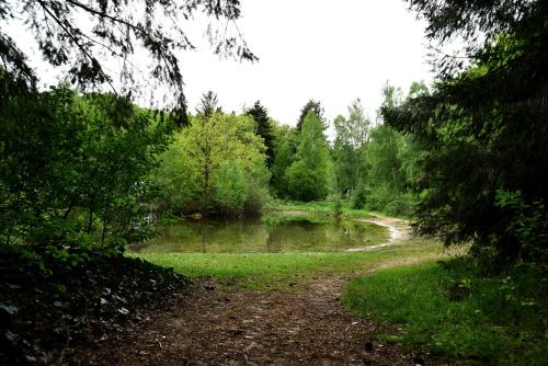 a dirt road next to a river with trees at Buitenplaats Gerner in Dalfsen