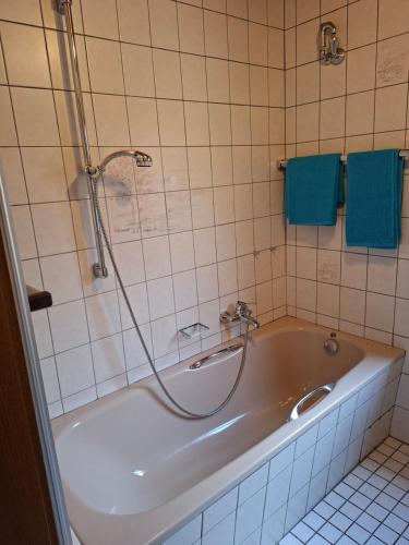 a bath tub with a shower and a sink at Krez Ferienhaus in Plein