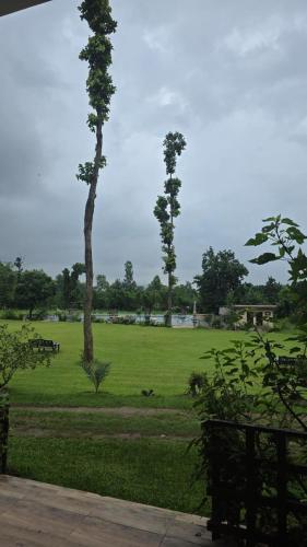 a park with two palm trees in a grass field at Hideaway By Aahma in Rāmnagar