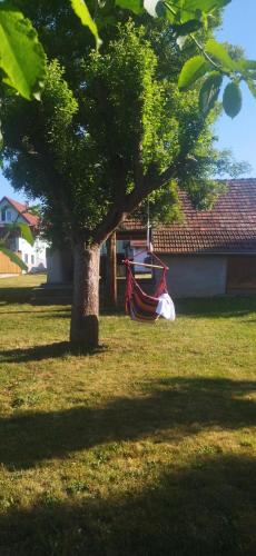 a hammock hanging from a tree next to a house at KOÓS VENDÉGHÁZ in Uppony