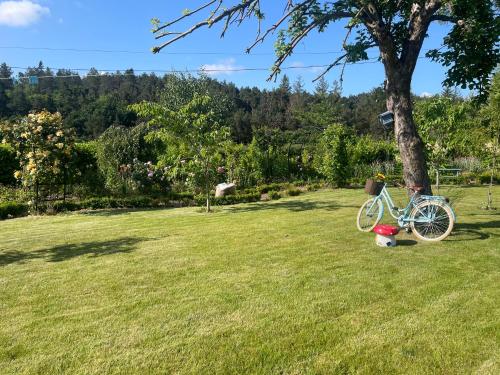 Сад в Warlands Farm Guest House