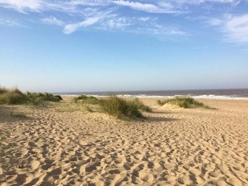 a sandy beach with grass and the ocean at Driftwood in Sutton on Sea