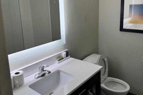 a bathroom with a sink and a toilet and a mirror at Gallus Stadium Park Inn, an Ascend Collection Hotel in Columbia