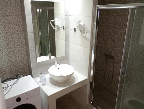 a bathroom with a sink and a shower at Alivka Apartments in Apolpaina
