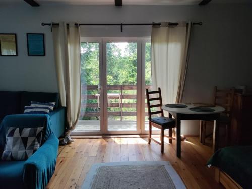 Widny Jaś zaprasza z psem nad jezioro na Kaszubach