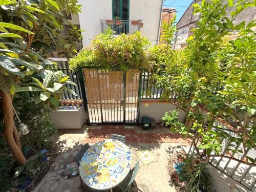 a garden with a toilet in the middle of a courtyard at Historical Center with Garden "The Beach and The Cliff" 4 in Agropoli