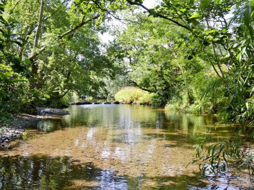 a river with trees on the side of it at Ty Rhyd in Llanrhaeadr-ym-Mochnant