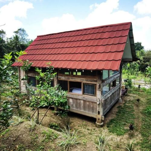 Κήπος έξω από το Homestay Ijen Lemon House