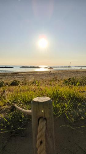 a wooden post with a teddy bear on a beach at Sake' Beach in Senigallia
