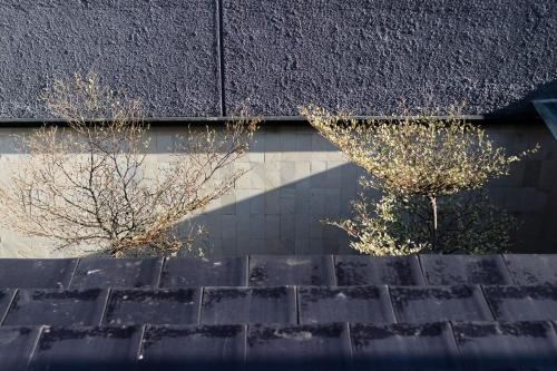 two trees sitting on top of a black roof at Arumnala with butler and Breakfast at KBP in Gantungan