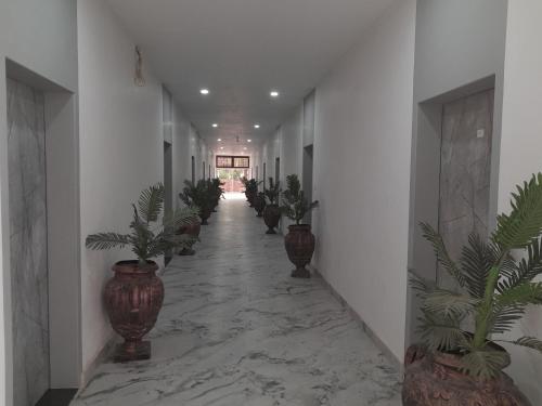 a corridor with potted plants in a hallway at Hotel Aura Bikaner in Bikaner