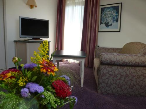 Телевизор и/или развлекательный центр в Sporthotel Zum Hohen Eimberg