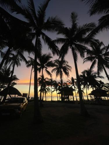 a group of palm trees on the beach at sunset at Calilayan Cove Beach Resort 
