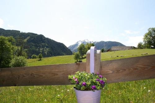 a fence with a pail of flowers in a field at Haus Bergliebe in Schladming