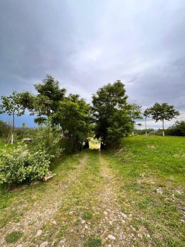 Φυσικό τοπίο κοντά σε αυτό το καταφύγιο