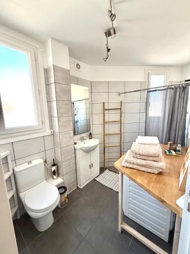 une salle de bain avec toilettes et lavabo dans l'établissement Appartement Narbonne centre, à Narbonne
