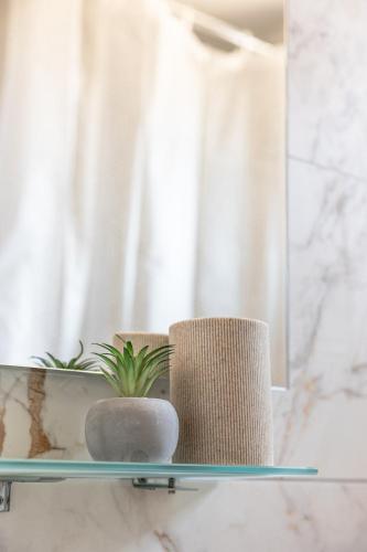a glass shelf with plants on it in a bathroom at Memory House - The place where your summer story begins in Skála Foúrkas