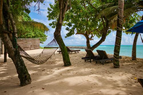 a hammock on a beach with trees and the ocean at Garton's Cape in Ahangama