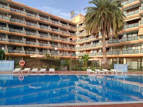 un hôtel avec un palmier et une piscine dans l'établissement Apartamentos Australia, à Playa del Ingles