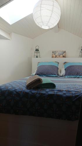 Nid sous le volcan - Maison avec jardins