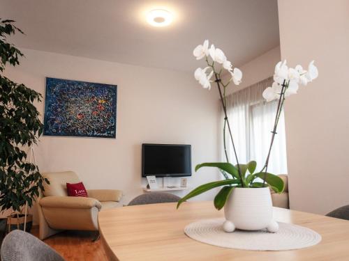 Apartman Čule
