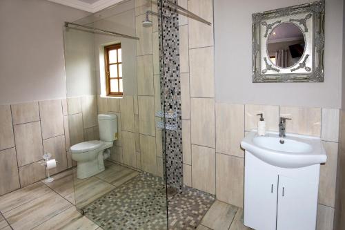 a bathroom with a shower and a toilet and a sink at Sewende Hemel in Kroonstad