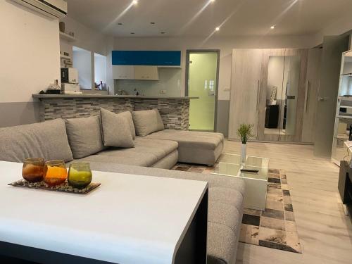 spa Potok apartment near center