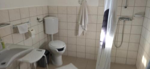 a bathroom with a toilet and a sink and a shower at KOÓS VENDÉGHÁZ in Uppony