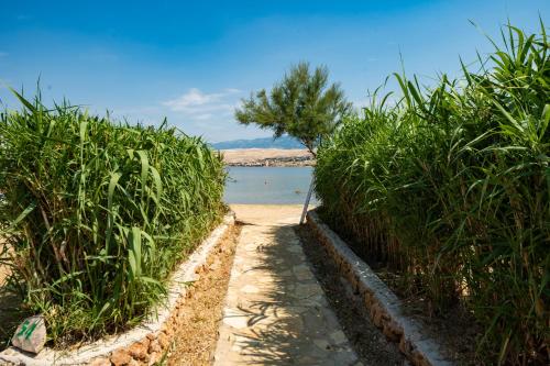 a path through the grass next to a body of water at Terra Park SpiritoS in Kolan