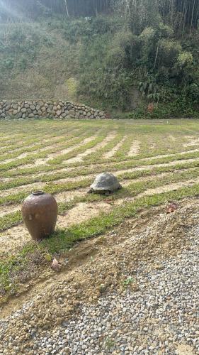 un grand pot posé au bord d'un champ dans l'établissement 龜在銅三, à Tongluo