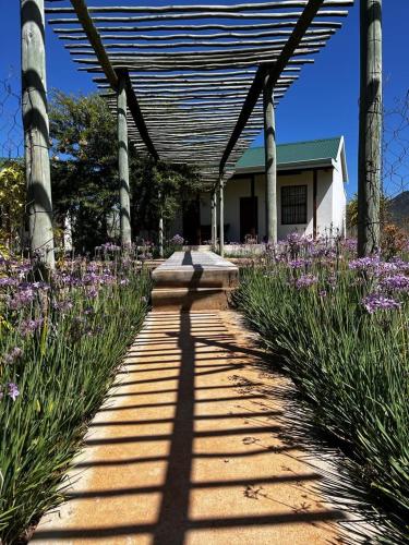 Taman di luar Royal Karoo Safari Lodge