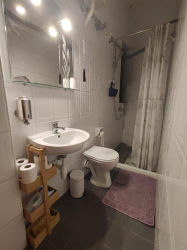 a bathroom with a sink and a toilet at The Duke Residence in Tas-Samra